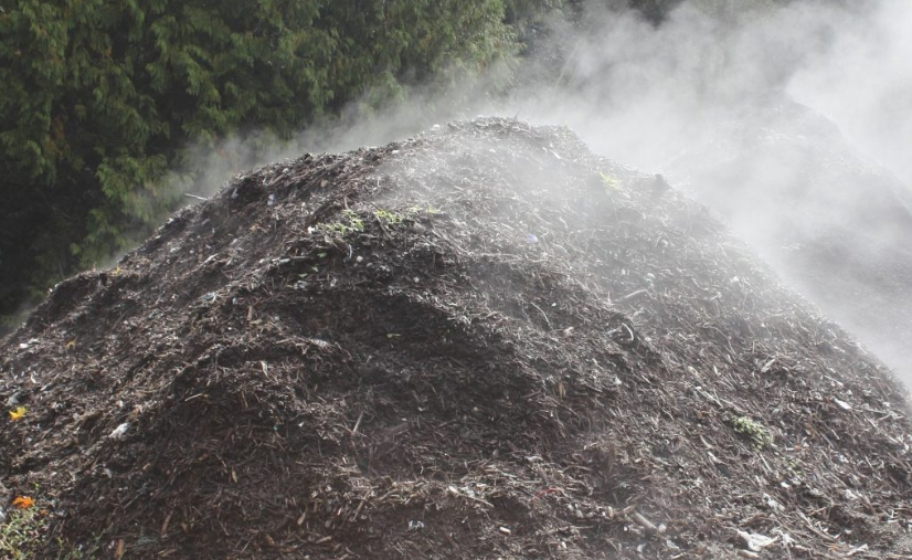 Compost fumant