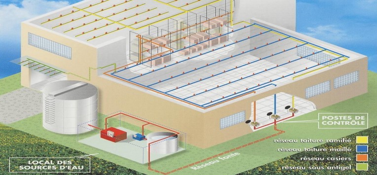 Schema de principe d'un réseau sprinkler